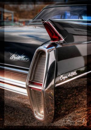 Caddi.jpg