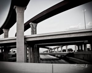 DSC_0542.jpg
