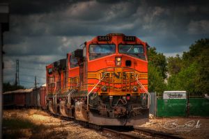 _DSC4448_49_50-Edit.jpg