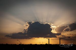 DSC_7898.jpg