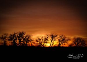 DSC_1149.jpg