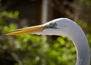 DSC_9239.jpg