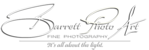 Barrett Photo Art
